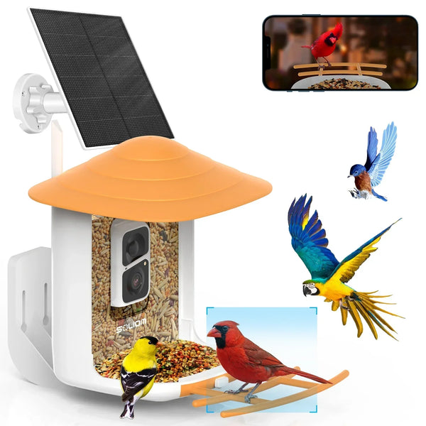 Bird feeder with solar panel, birds on seeds, and bird illustrations.