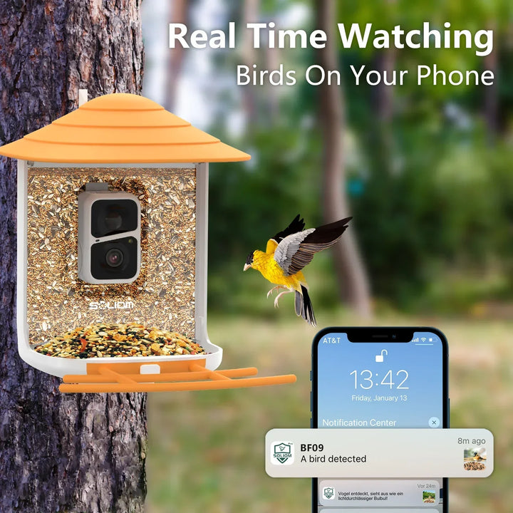 Bird feeder with camera and smartphone app showing real-time bird monitoring
