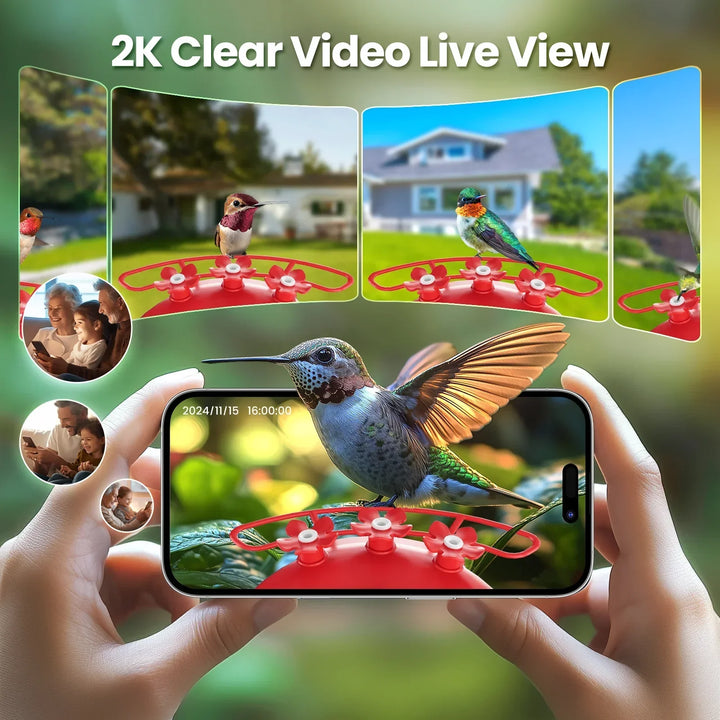 Person holding a smartphone with a 2K clear video live view of hummingbirds and a house.