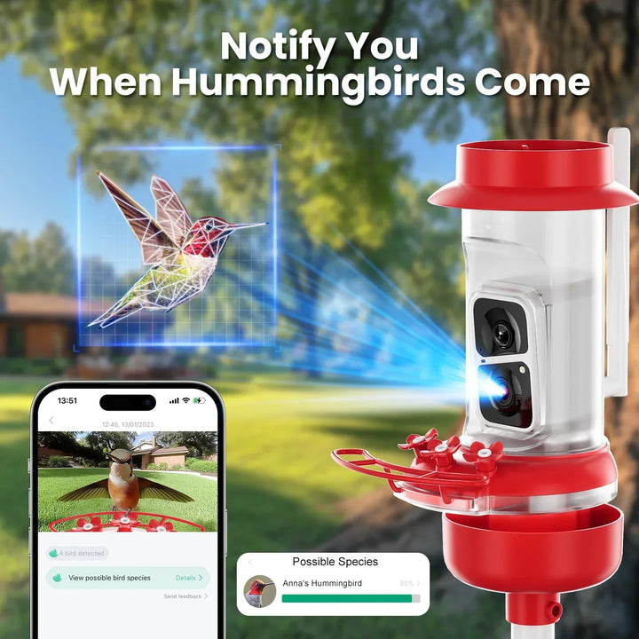 Hummingbird feeder with camera and smartphone app showing bird observation, set against a garden background.