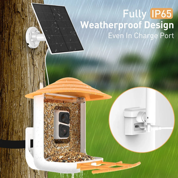 Weatherproof bird feeder with solar panel and rain protection feature on a tree.