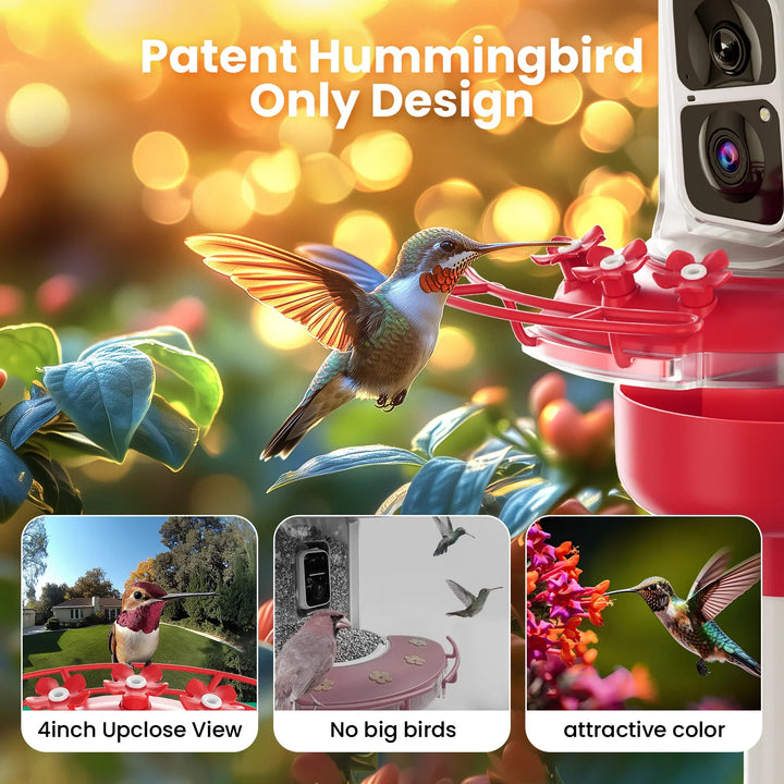Hummingbird feeder with hummingbird and additional views on a blurred nature background