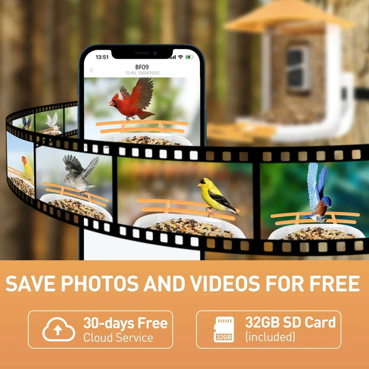 Smartphone displaying birdwatching app with birds at a feeder, surrounded by filmstrip and promotional text for a free service.