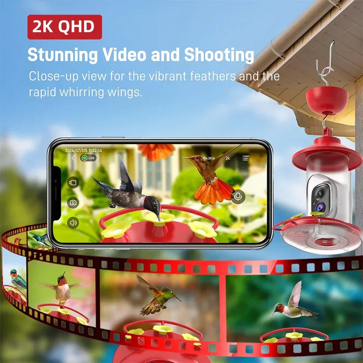 Hummingbird feeder with camera and smartphone displaying video of hummingbirds, set against a clear blue sky.