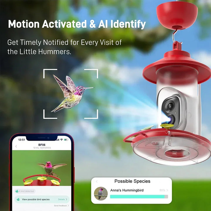 Hummingbird feeder with motion-activated camera and smartphone app displaying bird identification.