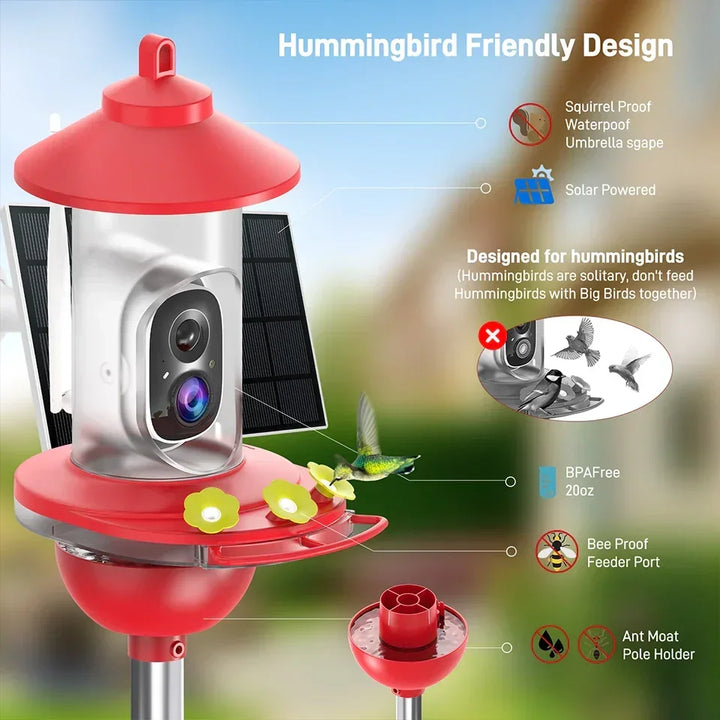 Solar-powered hummingbird feeder with features highlighted on a blurred natural background