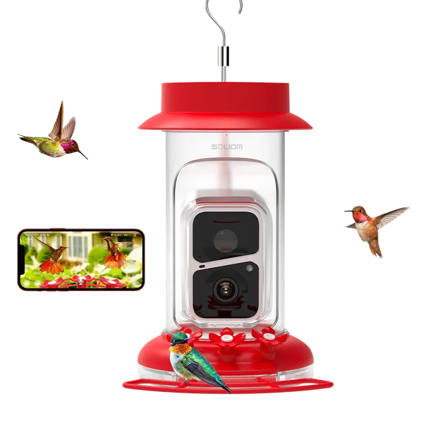 A bird feeder attracting hummingbirds and a smartphone capturing images of the birds in flight.