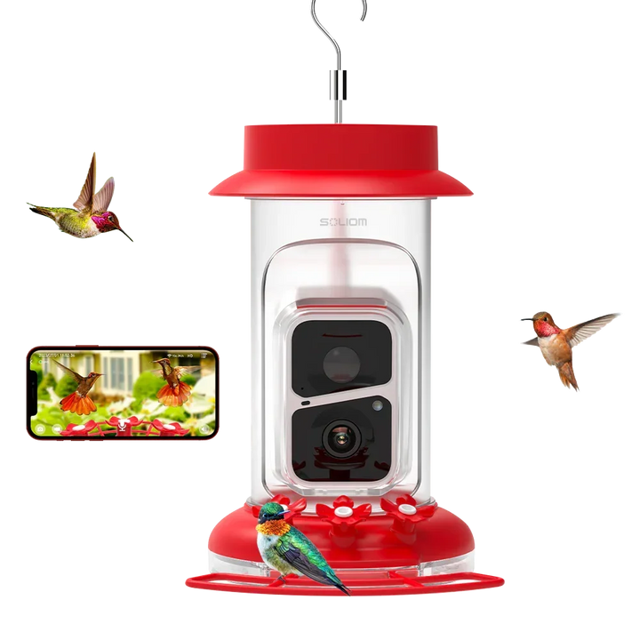 A bird feeder attracting hummingbirds and a smartphone capturing images of the birds in flight.