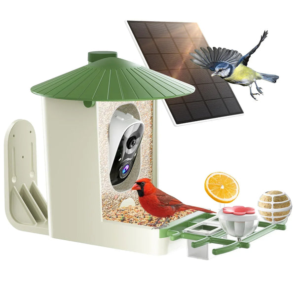 Bird feeder with solar panel, bird seeds, and birds on a white background