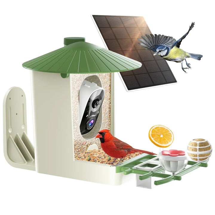 Bird feeder with solar panel, bird seeds, and birds on a white background