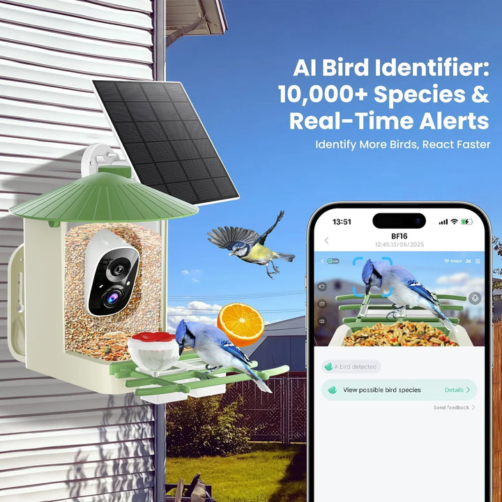 AI bird feeder with solar panel and smartphone app displaying bird identification on a clear day.