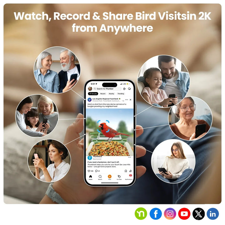 Phone screen showing bird observation app with people around, text 'Watch, Record & Share Bird Visitsin 2K from Anywhere'.