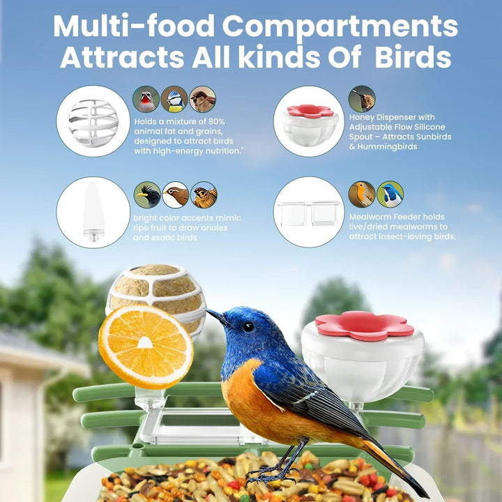 Bird feeder with multiple compartments attracting various birds, set against a natural background.