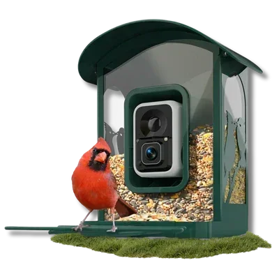 Bird feeder with a camera and a cardinal bird on a white background