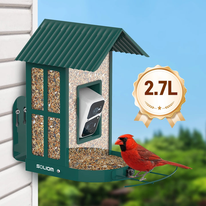 Bird feeder with a red cardinal on a blurred natural background