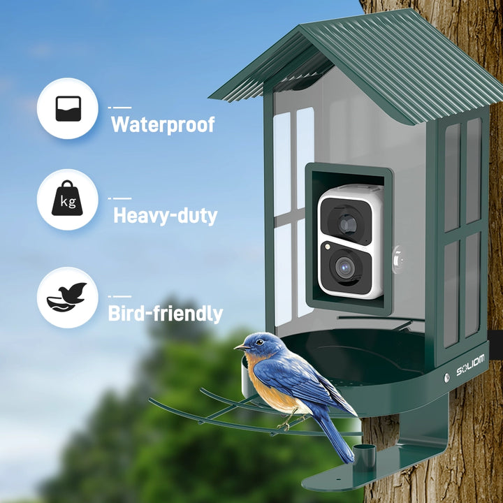 Bird feeder with camera on a tree, featuring waterproof, heavy-duty, and bird-friendly attributes.