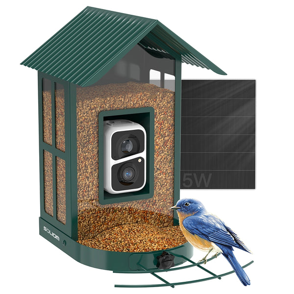 Bird feeder with solar panel and camera, featuring a bluebird on a white background