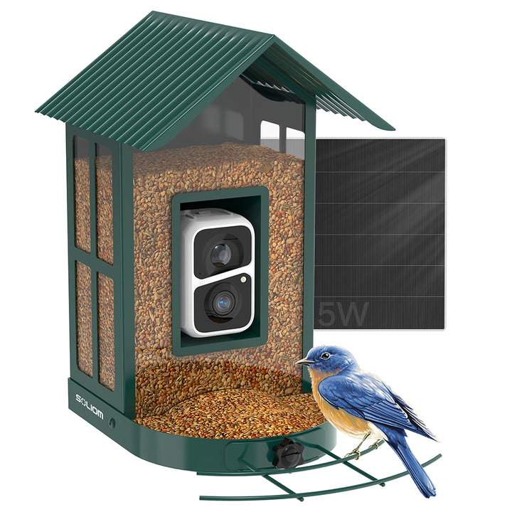 Bird feeder with solar panel and camera, featuring a bluebird on a white background