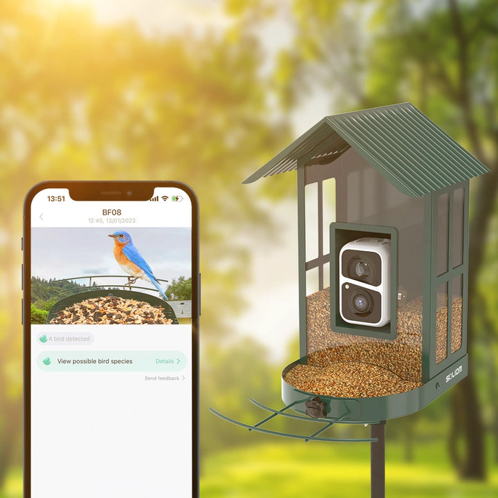 Smart bird feeder with smartphone app interface in a forest setting